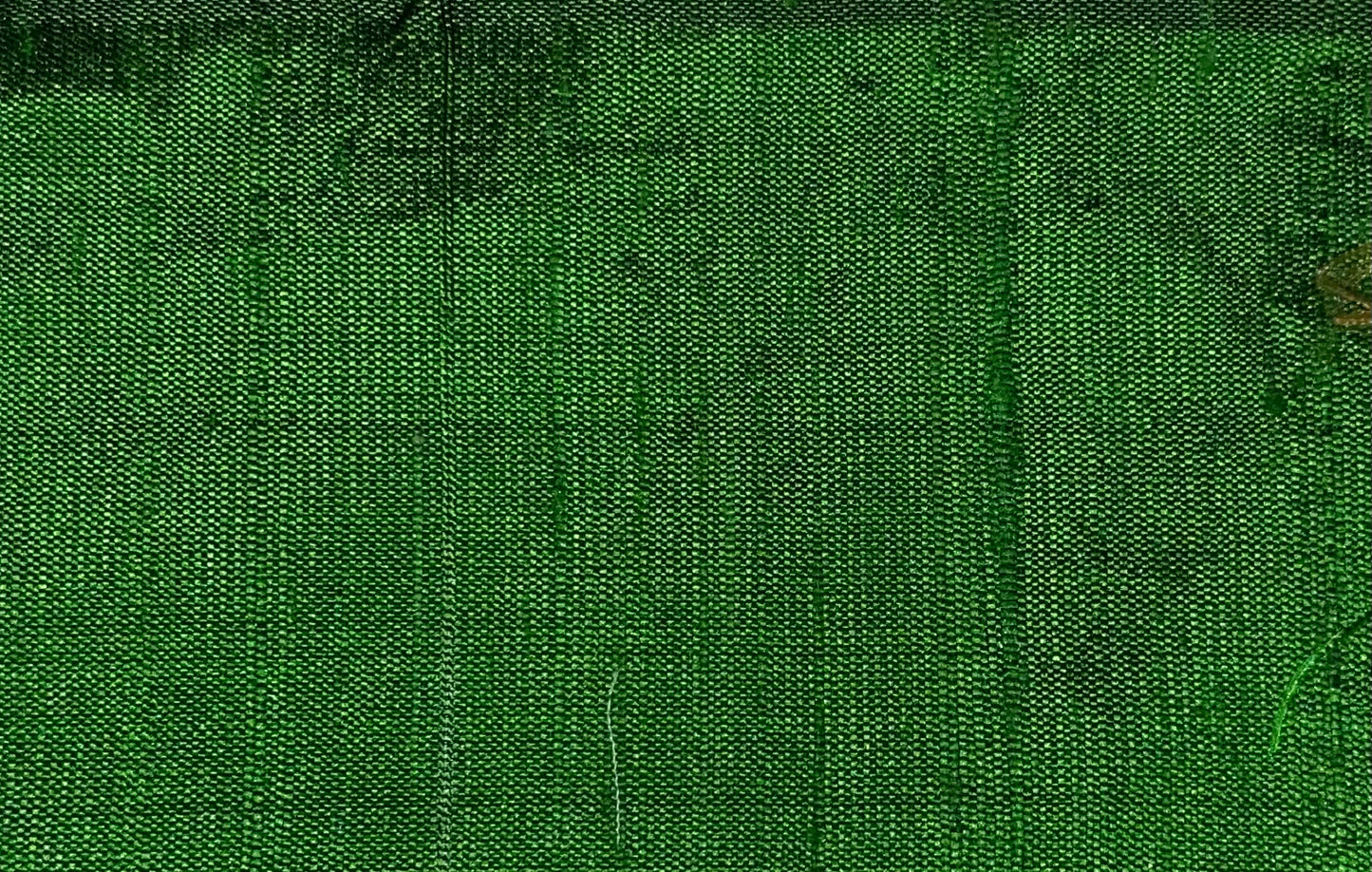 Darbari Dupion Silk - Raw Silk Fabric- Light Green