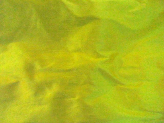 Darbari Dupioni Silk - Raw Silk Fabric- Light Green